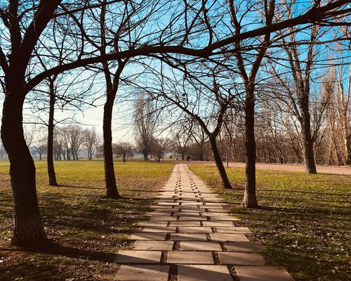 A relaxed person walking through a sunny green park in Sofia